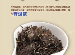 普洱有哪些茶厂-普洱有哪些茶厂家