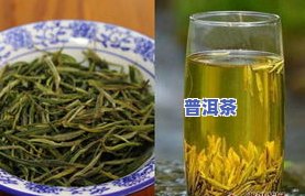 云南普洱茶：红茶还是绿茶？其特点及对身体的影响，以及可能的危害