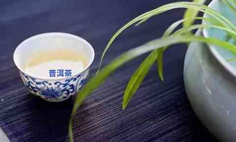 贤藏普洱茶测评视频讲解-贤藏普洱茶测评视频讲解大全