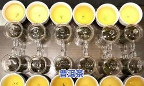 全面了解乌龙茶的种类：从名称、图片到详细分类