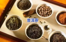 探究茶的丰富种类与独特品种