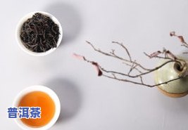 探究茶的丰富种类与独特品种