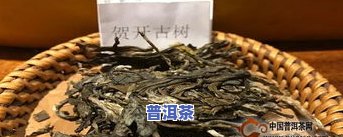 普洱茶每个山头的独特特点及口感大揭秘