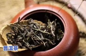 泡普洱茶：更佳水温是多少？