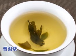 普洱茶和苦丁茶一起喝的功效：揭秘两大茶叶的完美结合