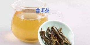 普洱茶和苦丁茶一起喝好吗？功效与泡法全解析