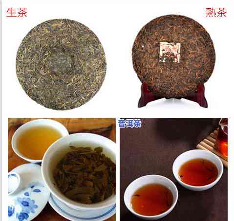 普洱茶王茶的价格：一斤、一盒及具体金额全解析