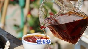 小青柑橘普洱茶功效：作用、副作用及禁忌人群全解析