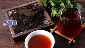 黄骅普洱茶-普洱黄茶是属于什么茶