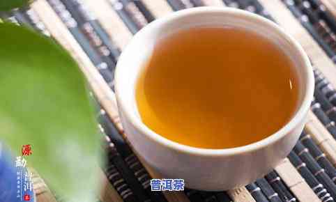 黄骅普洱茶-普洱黄茶是属于什么茶