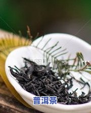 普洱茶究竟多少钱？一斤、一块的价格解析