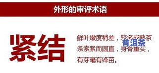 送一罐茶叶是什么意思？全面解析网络用语、女生含义及英语表达，是不是合适？