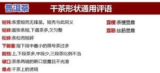 送一罐茶叶是什么意思？全面解析网络用语、女生含义及英语表达，是不是合适？