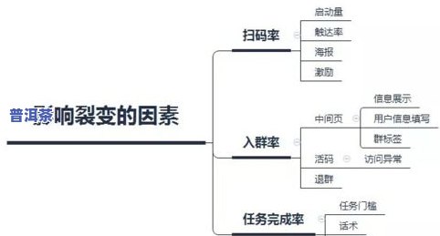 全面解析茶叶的烘干过程：步骤、原理与视频全收录