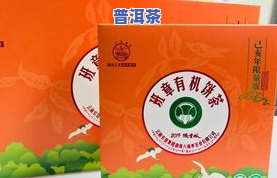 树立普洱茶-关于普洱茶树的知识大全