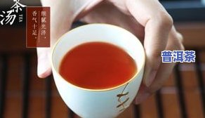 新手怎么买茶叶好？从品种、、价格、口感等方面综合考虑，选择适合自己口味和预算的好茶。同时，注意保存方式，保持茶叶的新鲜度，才能品尝到更佳味道。