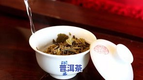 普洱茶粒状-普洱茶颗粒状