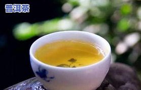 五六十块钱一斤的普洱茶能喝吗？探讨其品质与性价比