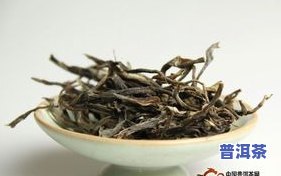 冰岛普洱茶散茶价格全览：多少钱一斤？最新行情在这里！