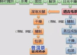 深入解析：普洱茶生普与熟普的对比区别