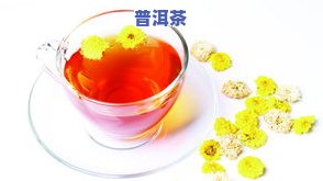 保健茶的主要种类及品种介绍