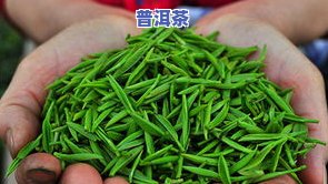 佩兰茶的功效与禁忌症全解：作用、副作用一网打尽