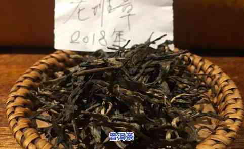 冰岛普洱茶属于什么茶系列？详解其分类及特点