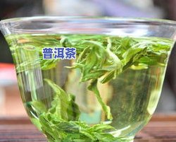 绿瘦荷叶普洱茶-绿瘦荷叶普洱茶好用吗