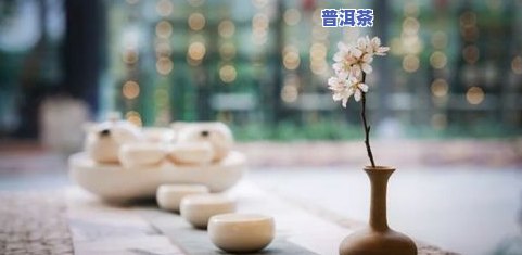 探索茶的冷香：理解、感受与分类