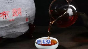 普洱茶四大天王系列产品：知名、多样品种与独特特点一网打尽！