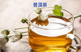 晒红普洱茶制作工艺是什么意思，揭秘：晒红普洱茶的制作工艺全过程