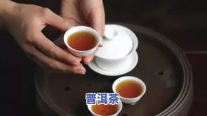 人认的普洱茶是什么茶-人认的普洱茶是什么茶叶