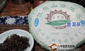 运城劲乐普洱茶-运城劲乐普洱茶价格表