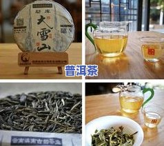 昆明旅行团普洱茶价格表-云南旅行团普洱茶