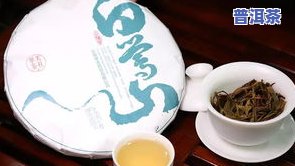 普洱茶八大山头茶叶特点详解：口感、品质等方面的独特之处