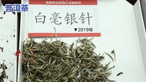 普洱茶一定要放白茶吗？用户分享经验与建议