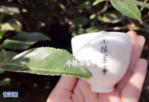 茶叶失水率什么意思-茶叶失水率什么意思啊