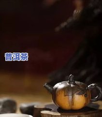 普洱茶辱什么茶-普洱茶 什么茶