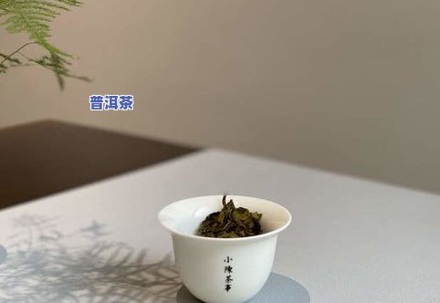 古树老白茶是普洱茶吗-古树老白茶是普洱茶吗