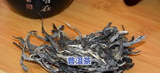 麻黑普洱茶是国有林吗-麻黑普洱茶产地在哪里