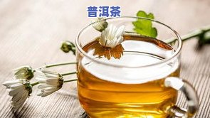 全解析：莲心茶的功效与作用、禁忌与副作用