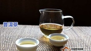 冰岛茶是什么茶种类？详解其特点与图片