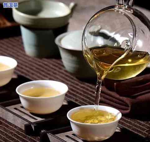 冰岛茶是什么茶-冰岛茶是什么茶种