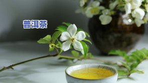 太浓普洱茶-普洱太浓好不好