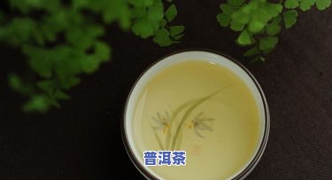 最新鲜茶叶普洱茶价格表图大全及高清图片，一网打尽！