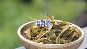 新鲜普洱茶图片大全：高清、真实展示各类茶叶照片