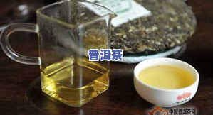 普洱茶生茶：品鉴、存储与收藏全解