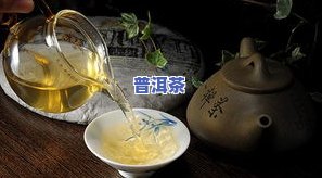 普洱茶生茶：品鉴、存储与收藏全解