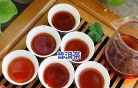 普洱茶怎样泡好？正确方法与技巧分享