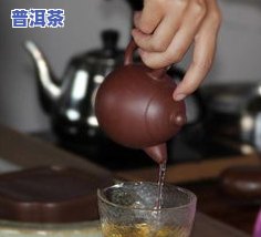 普洱茶怎样泡步骤：正确冲泡方法与技巧